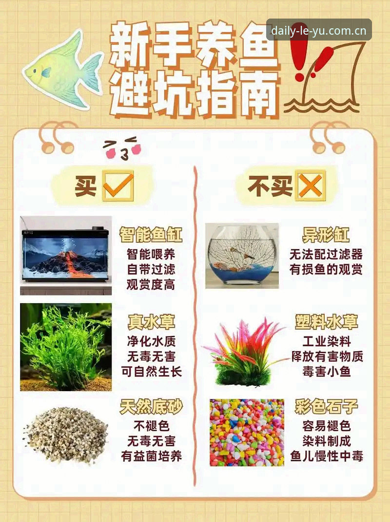 乐鱼体育平台避坑指南：CN版乐鱼娱乐对比分析新手教程